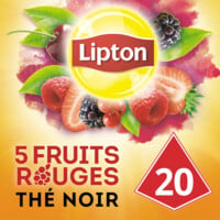 LIPTON Thé 5 fruits rouges 20 sachets