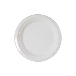 Assiettes Plates Jetables Flo X25