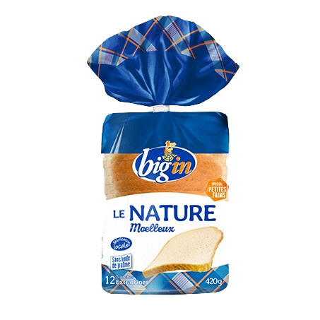 Bigin Pain de Mie Nature 420g