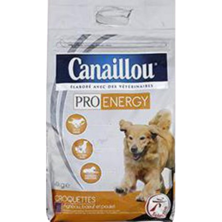 Canailou Croq Actif Intense .4KG